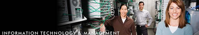 IIT Professional Learning Programs